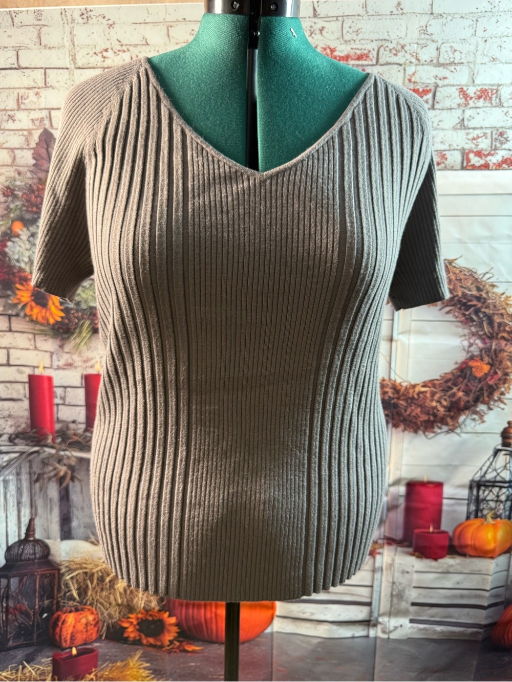 187-Bandolino Taupe Ribbed V-Neck Short Sleeve Sweater